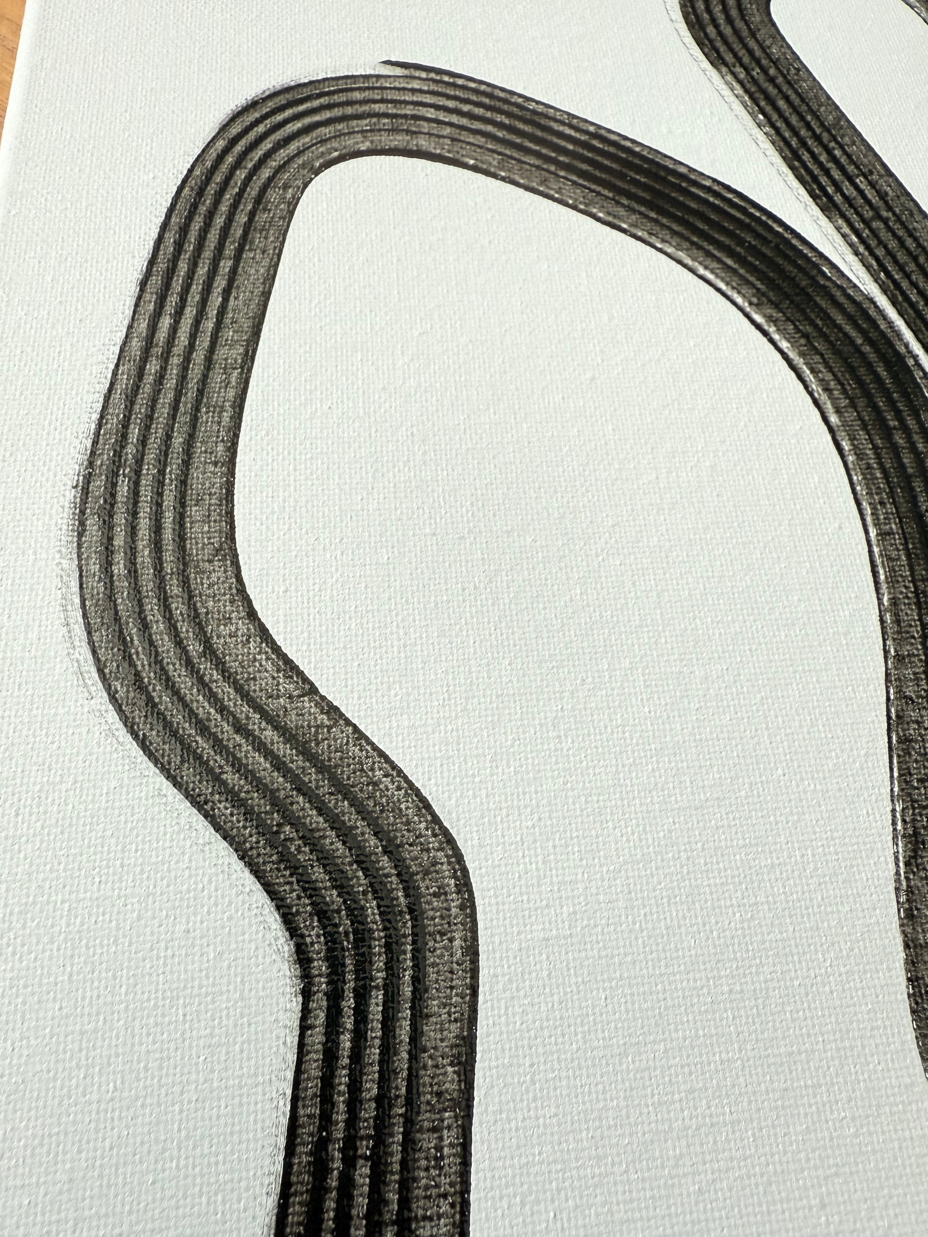 Sonoma | Black Paint Series